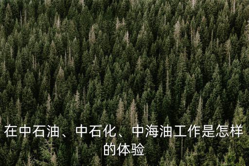 在中石油、中石化、中海油工作是怎樣的體驗