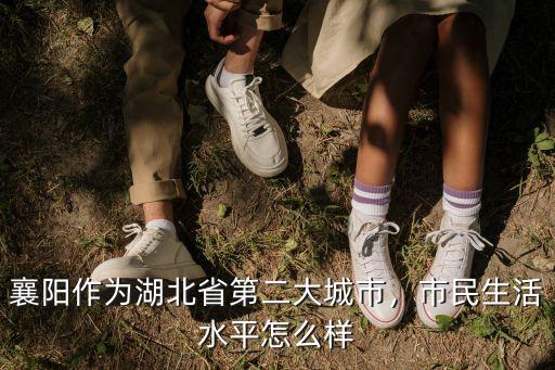襄陽(yáng)作為湖北省第二大城市，市民生活水平怎么樣