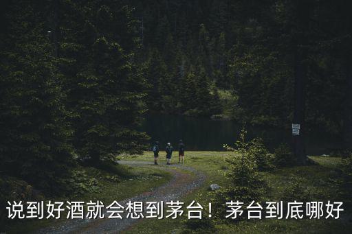 說到好酒就會想到茅臺！茅臺到底哪好