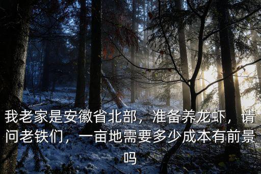 安徽省一畝地能掙多少錢,一畝地需要多少成本