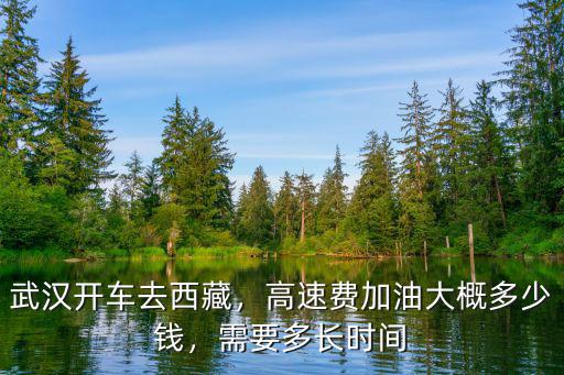 蚌埠到武漢高速費多少錢,高速費加油大概多少錢