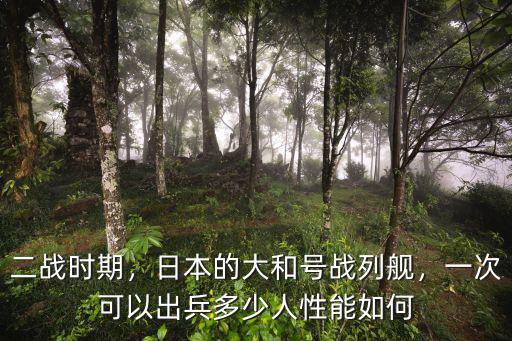 二戰時期，日本的大和號戰列艦，一次可以出兵多少人性能如何