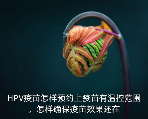 HPV疫苗怎樣預約上疫苗有溫控范圍，怎樣確保疫苗效果還在