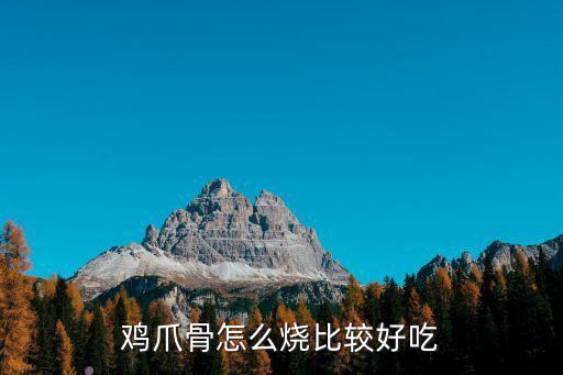 武漢雞爪怎么燒,紅燒雞爪怎么燒