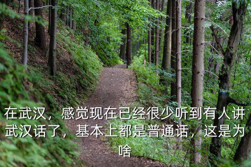 武漢話好惡心怎么說,武漢人究竟說的是什么話