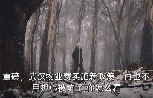 重磅，武漢物業費實施新政策，再也不用擔心被坑了,你怎么看