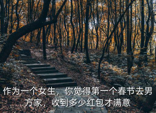 張家口女朋友第一次去男方家給多少紅包,女方第一次到男方家