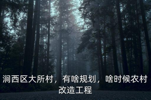 洛陽澗西區李家村怎么規劃,怎樣評價洛陽的澗西區