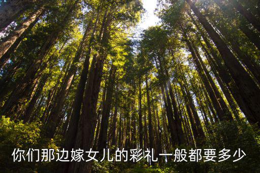 阜陽(yáng)臨泉嫁女兒要多少彩禮,一般要多少彩禮