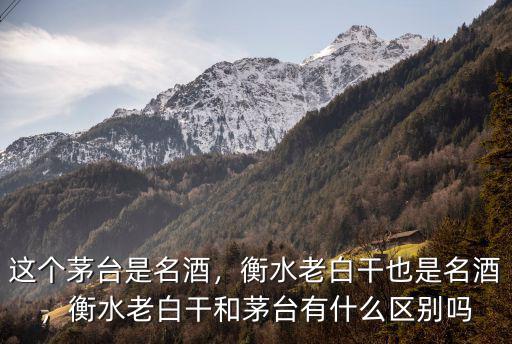 這個(gè)茅臺(tái)是名酒，衡水老白干也是名酒，衡水老白干和茅臺(tái)有什么區(qū)別嗎