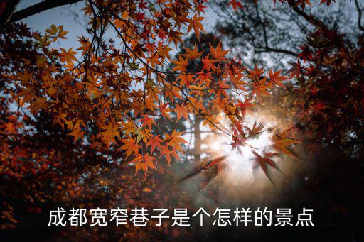 成都寬窄巷子哪里可以買(mǎi)漆器,成都哪里買(mǎi)紀(jì)念品和特產(chǎn)