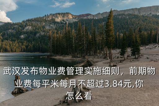 武漢怎么查詢物業(yè)費(fèi),武漢五戶業(yè)主未交物業(yè)費(fèi)