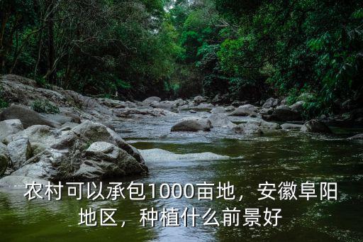 阜陽1500畝地多少錢,農(nóng)村可以承包1000畝地