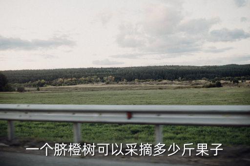 一棵臍橙樹放多少復合肥,一斤復合肥可以嗎