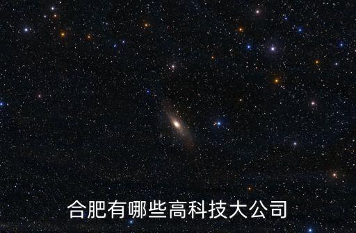 合肥有多少個公司,合肥有哪些高科技大公司