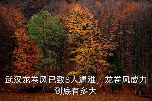 武漢龍卷風已致8人遇難，龍卷風威力到底有多大
