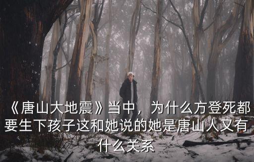 唐山大地震有多少人失去了家,《唐山大地震》當中
