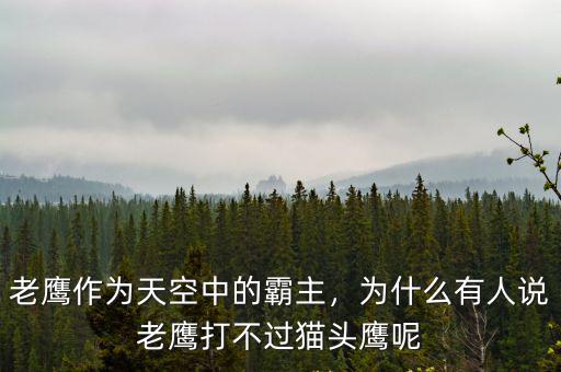 老鷹作為天空中的霸主，為什么有人說老鷹打不過貓頭鷹呢