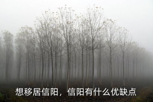 信陽哪里消費最高,信陽消費水平怎么樣