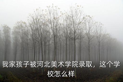 我家孩子被河北美術(shù)學(xué)院錄取，這個(gè)學(xué)校怎么樣