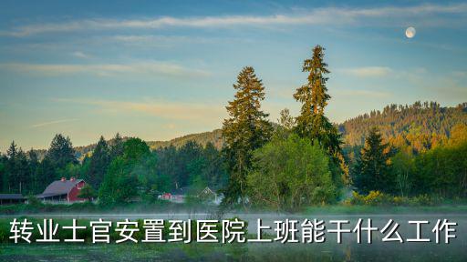 轉業士官安置到醫院上班能干什么工作