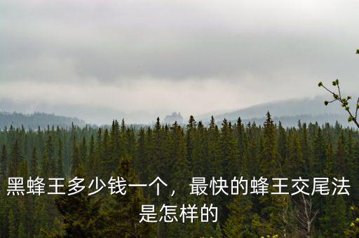 黑蜂王多少錢一個，最快的蜂王交尾法是怎樣的
