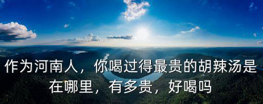 作為河南人，你喝過(guò)得最貴的胡辣湯是在哪里，有多貴，好喝嗎