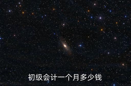 初級會計一個月多少錢