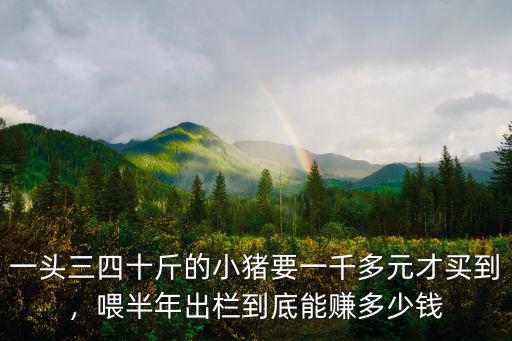 今天河北小豬多少錢一頭,2019仔豬多少錢一頭