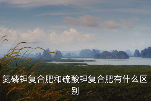 氮磷鉀復(fù)合肥和硫酸鉀復(fù)合肥有什么區(qū)別