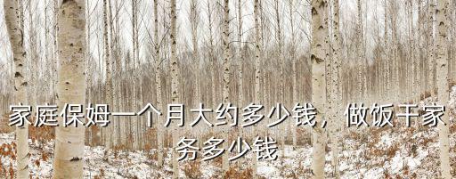 石家莊請個住家做飯的阿姨多少錢,請個阿姨做午飯得多少錢
