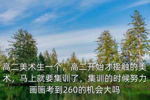 高二美術生一個，高二開始才接觸的美術，馬上就要集訓了，集訓的時候努力畫畫考到260的機會大嗎
