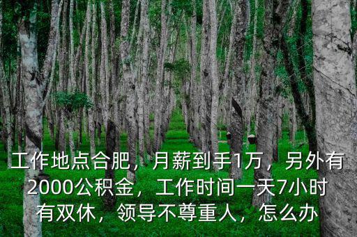 合肥有多少人月薪一萬,合肥一個月月薪1萬算高嗎