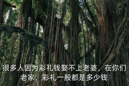 邢臺定親禮金一般是多少錢,彩禮一般都是多少錢