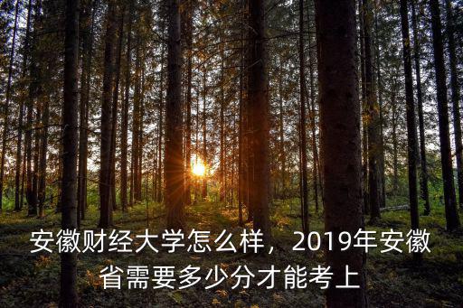 安徽財經大學2019安徽分數線多少,安徽財經大學怎么樣