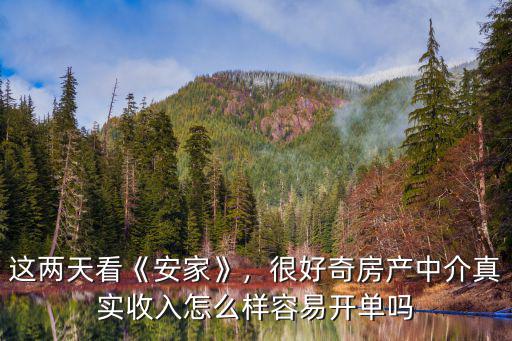 這兩天看《安家》，很好奇房產中介真實收入怎么樣容易開單嗎