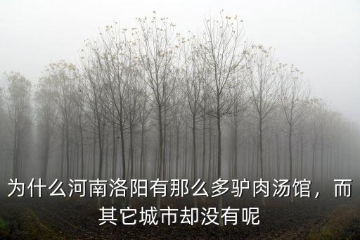 為什么河南洛陽有那么多驢肉湯館，而其它城市卻沒有呢