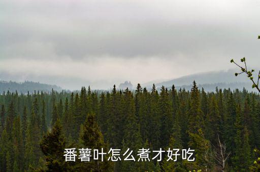 番薯葉怎么炒好吃湖北,紅薯葉怎么炒好吃