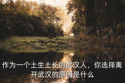 武漢女子怎么離開武漢到北京的,你選擇離開武漢的原因是什么