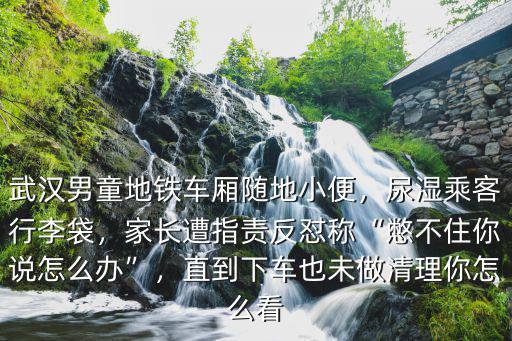 武漢的地鐵怎么畫,怎樣去評價武漢地鐵