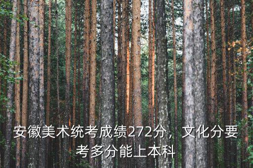 安徽美術統考成績272分，文化分要考多分能上本科