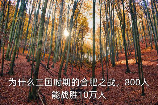合肥之戰在多少回,孫權合肥之戰和劉備夷陵之戰