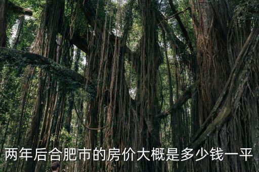 08年合肥的房價多少錢,合肥房價會多少錢一平