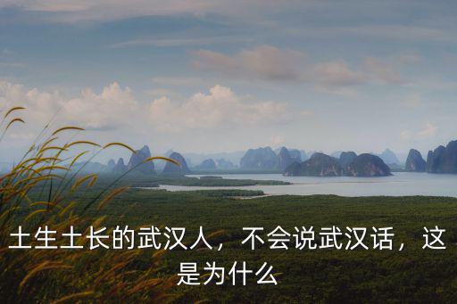 土生土長的武漢人，不會說武漢話，這是為什么