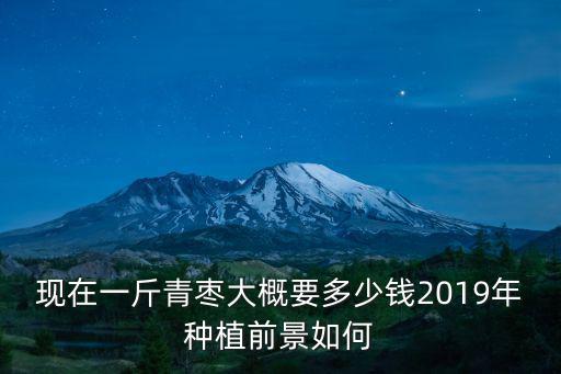 河北青棗批發多少錢一斤,現在一斤青棗大概要多少錢