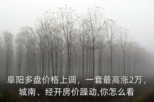阜陽房價備案最高價是多少,經開房價躁動