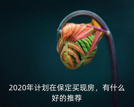 2020年計劃在保定買現房，有什么好的推薦
