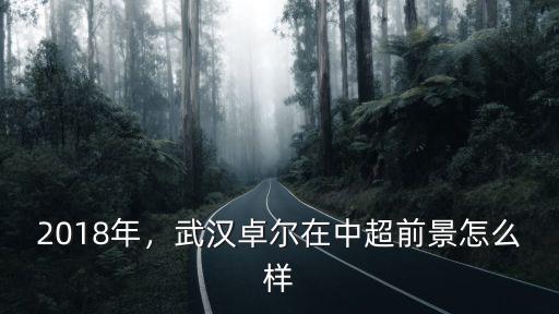 2018年，武漢卓爾在中超前景怎么樣