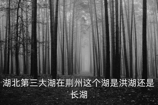 荊州長湖怎么逛,你覺得荊州怎么樣