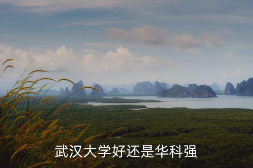武漢大學(xué)的情報(bào)學(xué)怎么樣,武漢大學(xué)好還是華科強(qiáng)